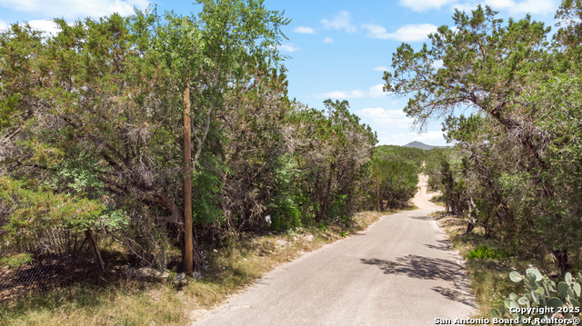 Image 4 of 26 For Tbd Avenue D