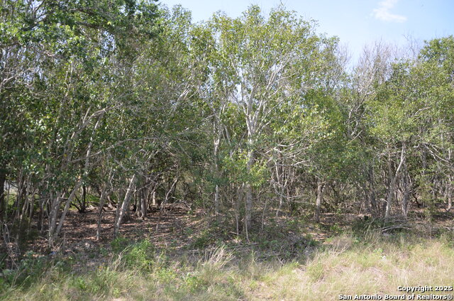 Details for 025 Wesp Way, San Antonio, TX 78233