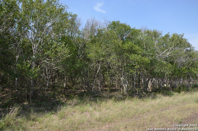 Listing photo id 0 for 025 Wesp Way