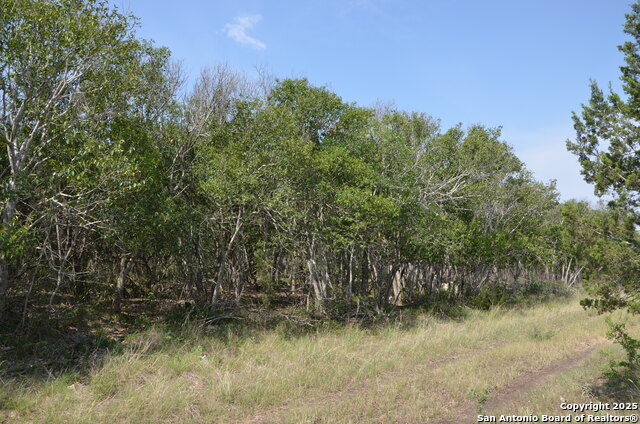 Listing photo id 1 for 025 Wesp Way