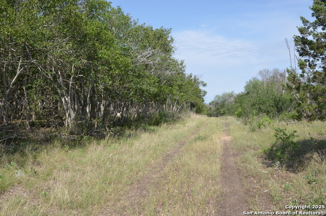 Listing photo id 2 for 025 Wesp Way