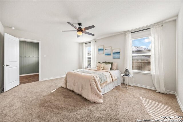 Listing photo id 18 for 9702 Tupelo Hollow