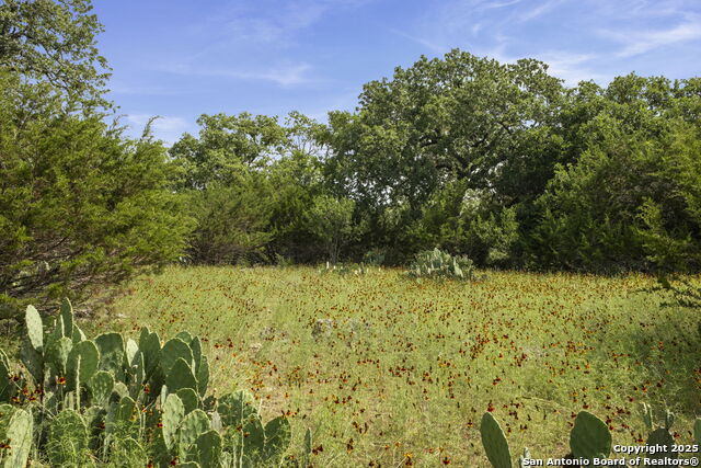 Details for 1030 Jurassic Lane, Spring Branch, TX 78070