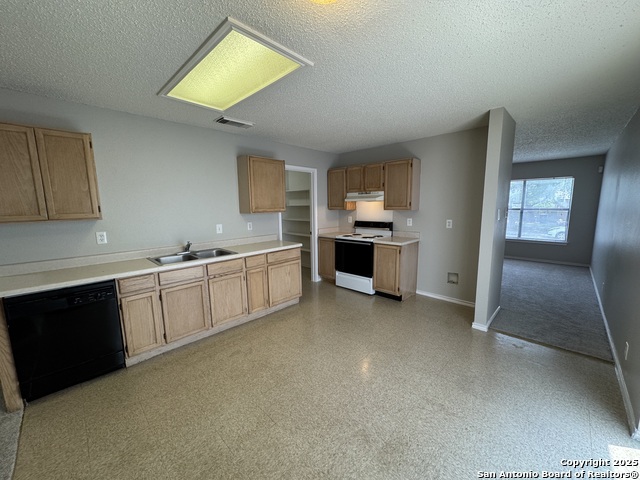 Image 9 of 20 For 4838 Camas  