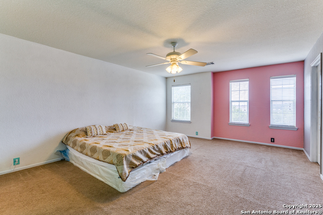 Image 18 of 25 For 25518 Veining Way