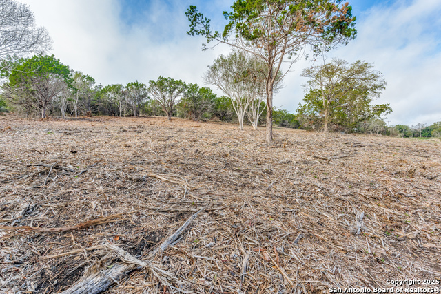 Listing photo id 3 for 013 Wesp Way