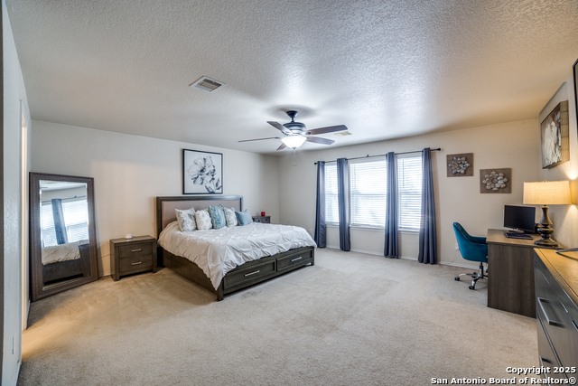 Listing photo id 13 for 10323 Medio Creek