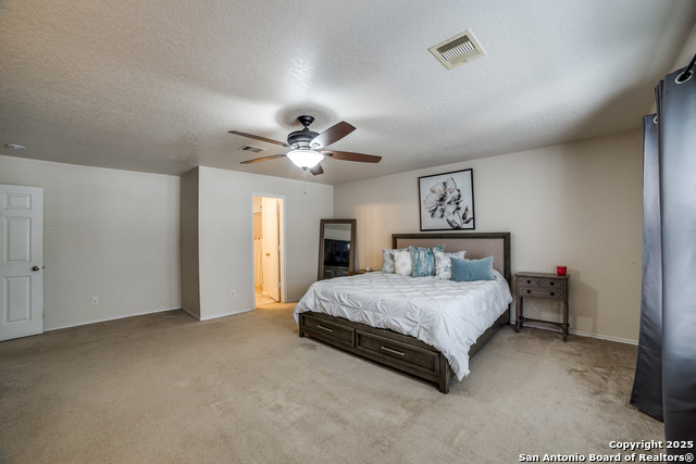 Listing photo id 14 for 10323 Medio Creek