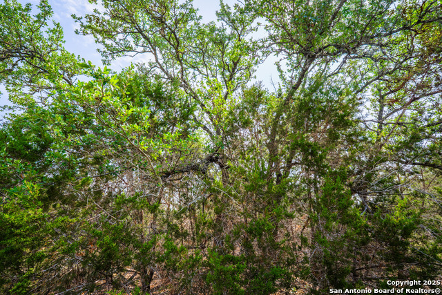 Image 11 of 16 For 1865 Stallion Springs