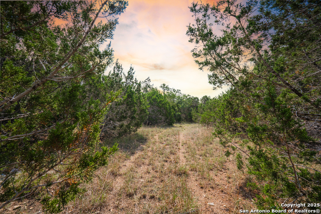 Image 8 of 16 For 1865 Stallion Springs
