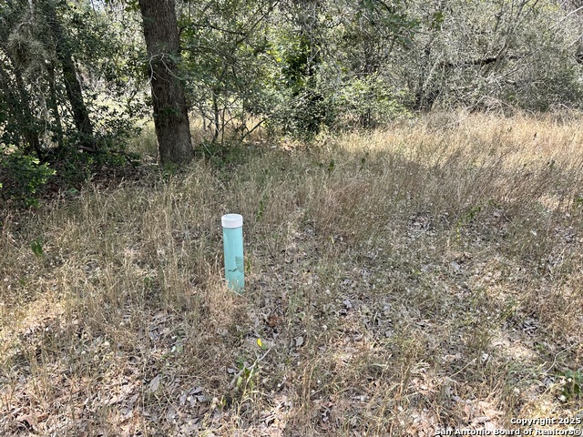 Listing photo id 3 for 180 Sandy Oaks