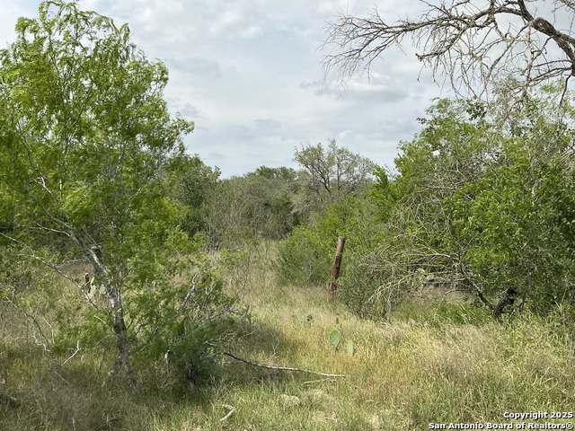 Details for 1066 Robertson Road, Smiley, TX 78159