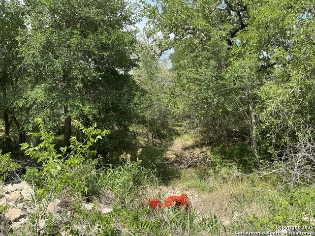 Listing photo id 0 for 1066 Robertson Road