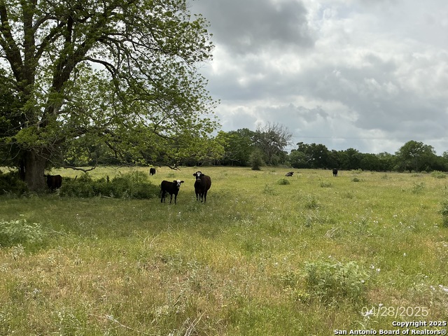 Listing photo id 1 for 1066 Robertson Road