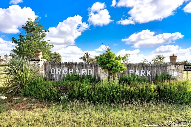 Listing photo id 0 for 847 Orchard Park