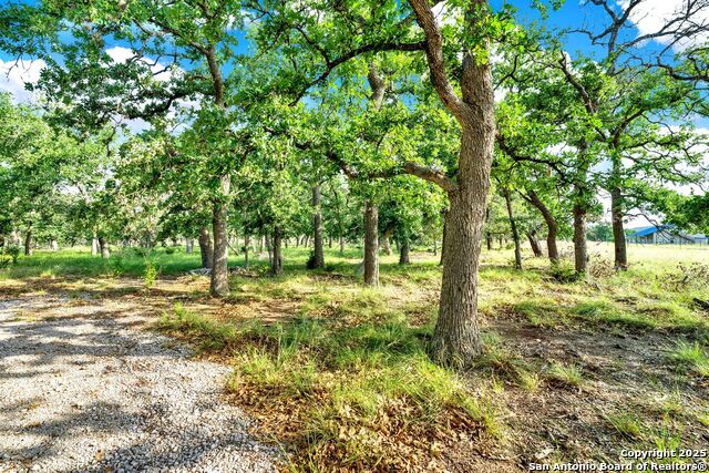 Listing photo id 5 for 847 Orchard Park