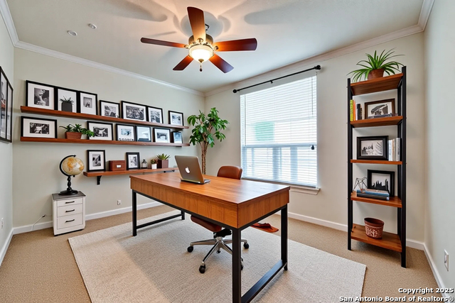 Listing photo id 3 for 12406 Prince Solms