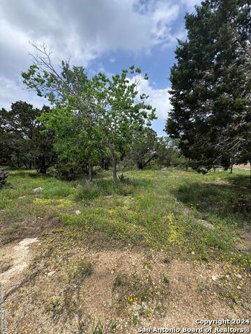 Details for 262 Wren Cir, Spring Branch, TX 78070