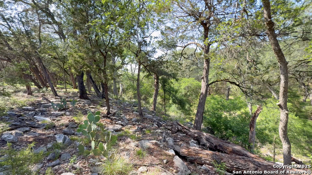 Image 21 of 26 For 10329 Montanio Dr