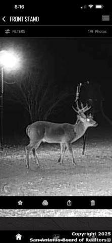 Image 67 of 71 For 1185 County Road 7718
