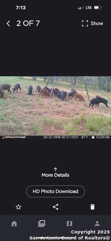 Image 68 of 71 For 1185 County Road 7718
