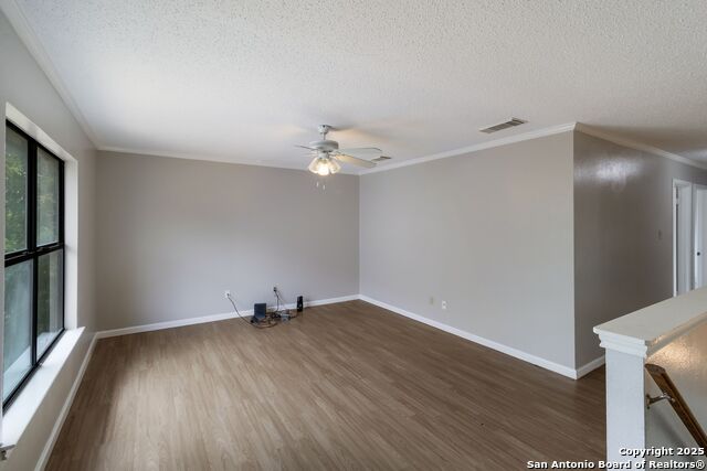 Image 12 of 27 For 7906 Chestnut Bear