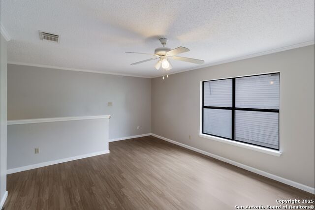 Image 13 of 27 For 7906 Chestnut Bear