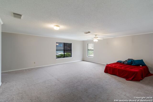 Image 14 of 27 For 7906 Chestnut Bear