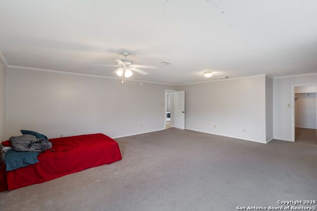 Image 15 of 27 For 7906 Chestnut Bear