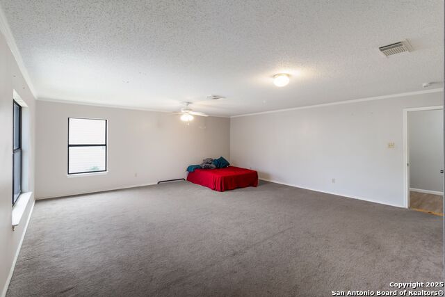 Image 16 of 27 For 7906 Chestnut Bear