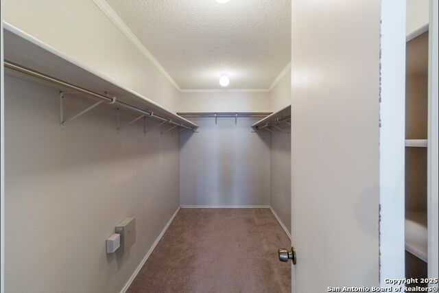 Image 17 of 27 For 7906 Chestnut Bear