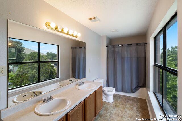 Image 18 of 27 For 7906 Chestnut Bear
