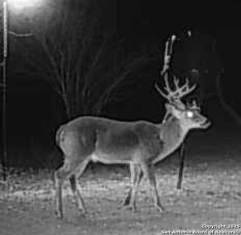 Image 69 of 71 For 1185 County Road 7718