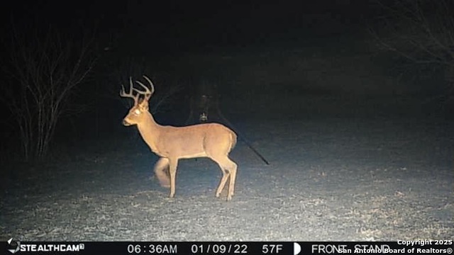 Image 70 of 71 For 1185 County Road 7718