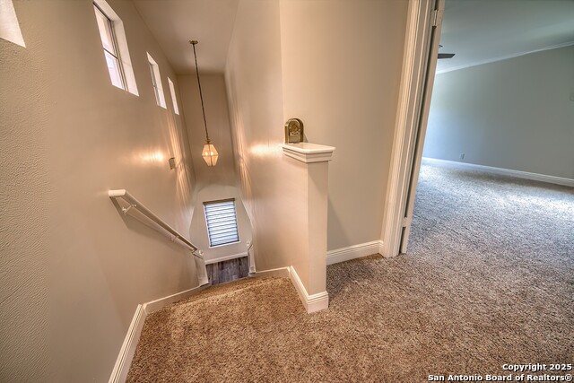 Listing photo id 17 for 3512 Mcalister