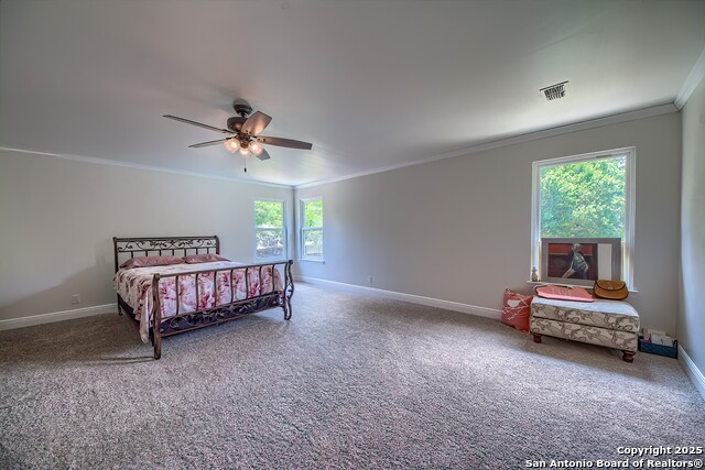 Listing photo id 18 for 3512 Mcalister