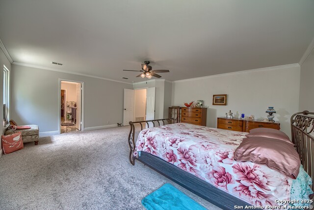 Listing photo id 19 for 3512 Mcalister