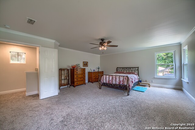 Listing photo id 20 for 3512 Mcalister