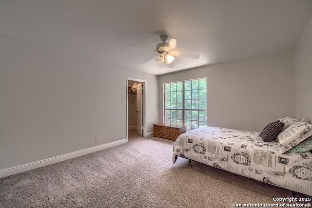 Listing photo id 25 for 3512 Mcalister