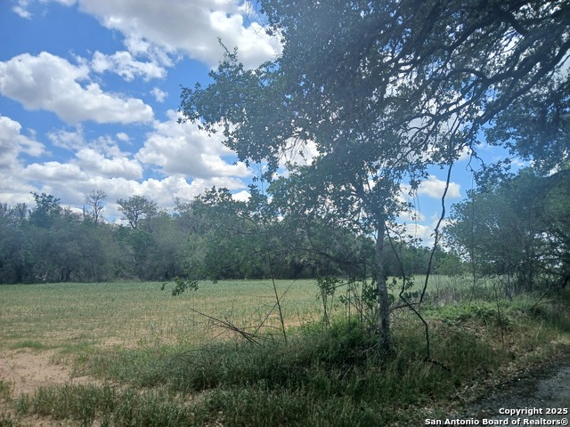 Listing photo id 1 for 00 New Sulphur Springs