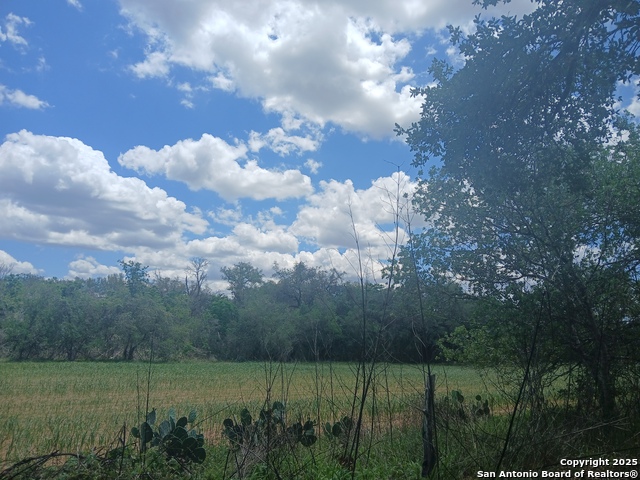 Listing photo id 2 for 00 New Sulphur Springs