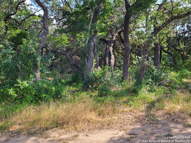 Listing photo id 20 for 11760 Sunset Woods
