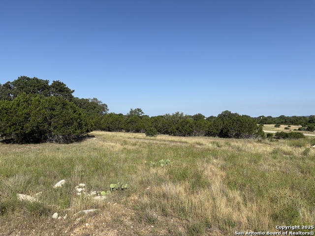 Image 8 of 11 For 717 Palomino Springs