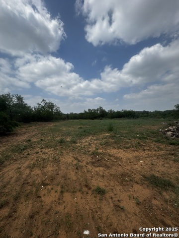 Details for 14161 Ted Williams, Atascosa, TX 78002