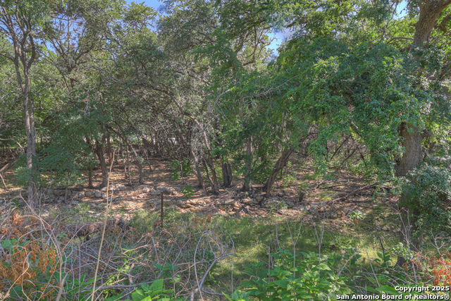 Image 41 of 43 For 3055 Lakeview