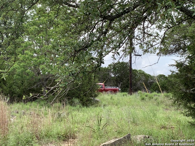 Listing photo id 3 for 421 Cliffview Circle