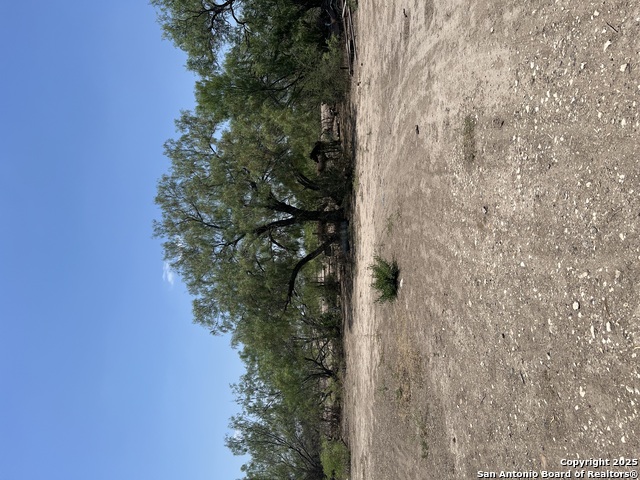 Listing photo id 14 for 793 Fm 1986 W
