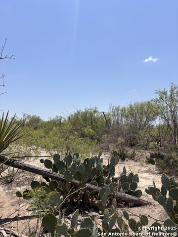 Listing photo id 21 for 793 Fm 1986 W