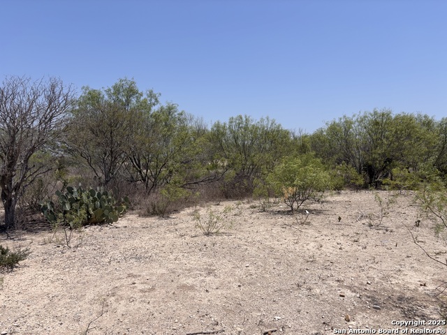Listing photo id 22 for 793 Fm 1986 W