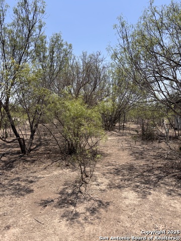Listing photo id 2 for 793 Fm 1986 W